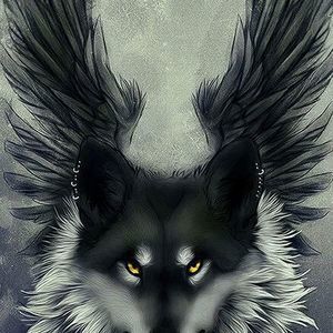 Meet your Posher, Ali